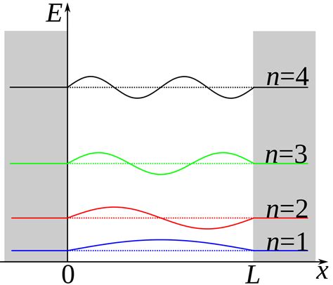 Splitting the wave function of a particle in a box